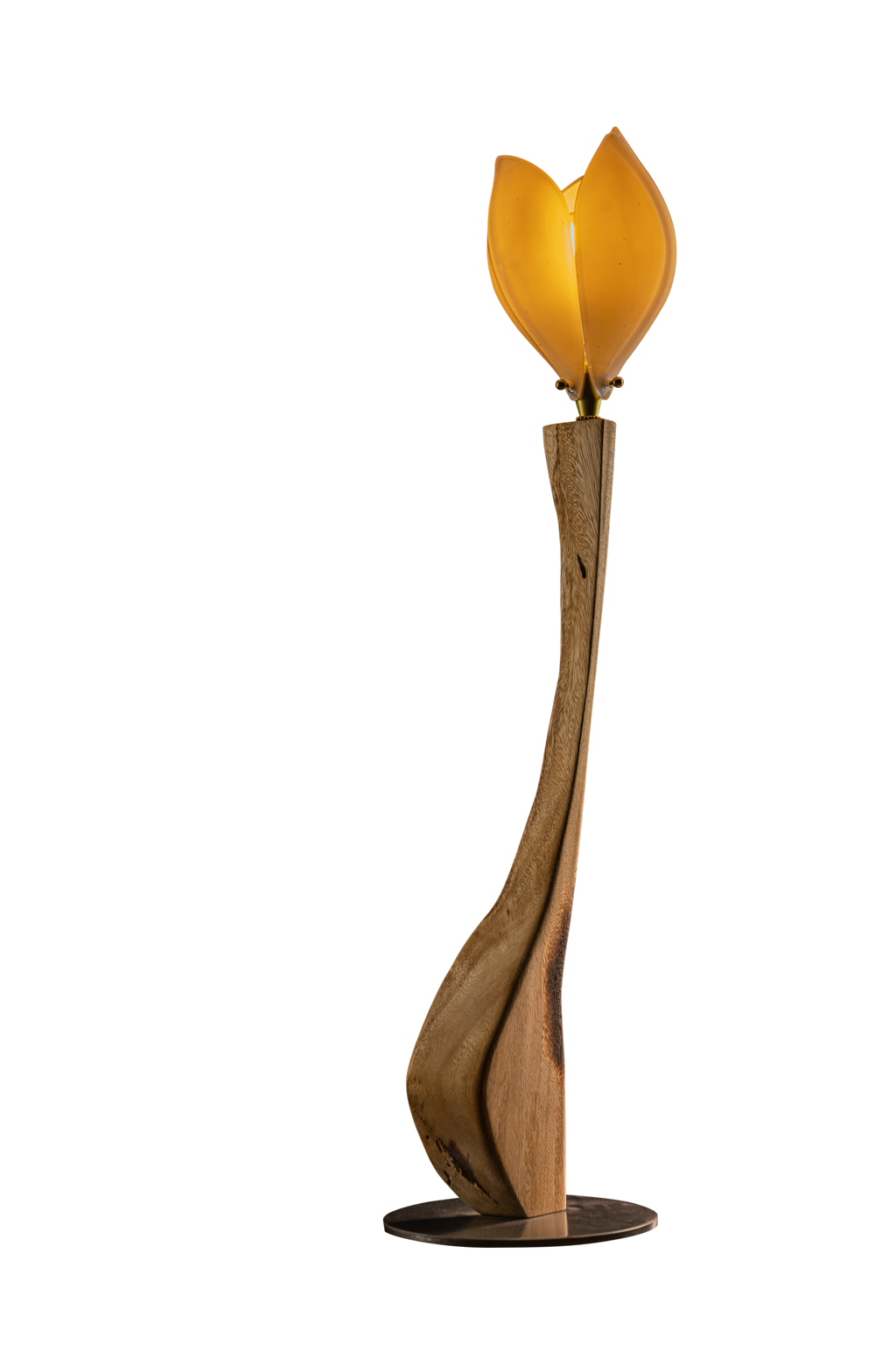 wooden Tulip light