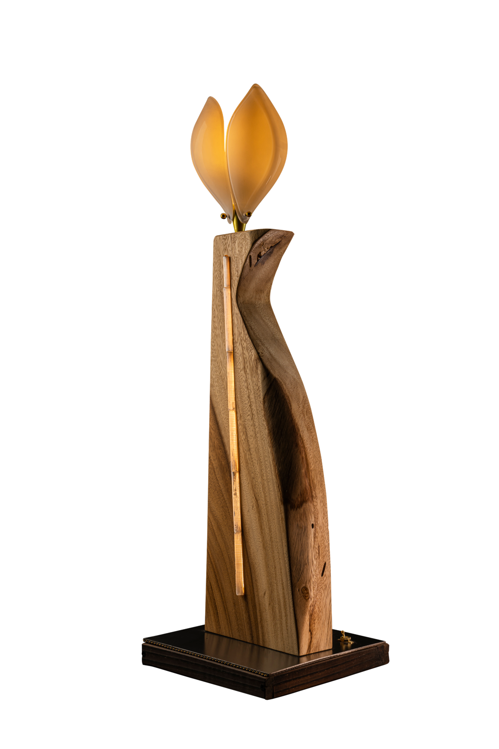 Glass Tulip Acacia Wood Lamp