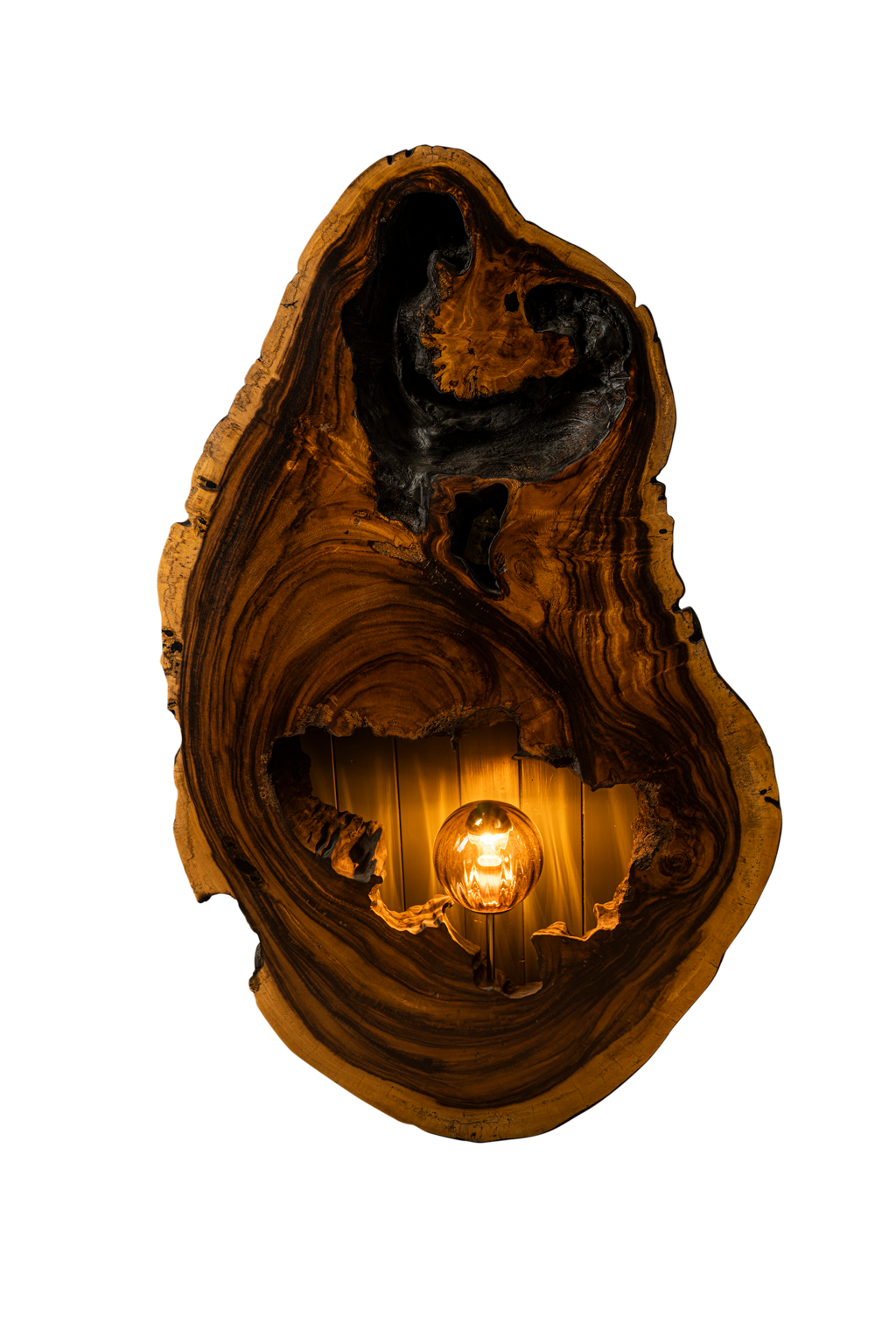 Acacia Burned Wood Turned Into Light