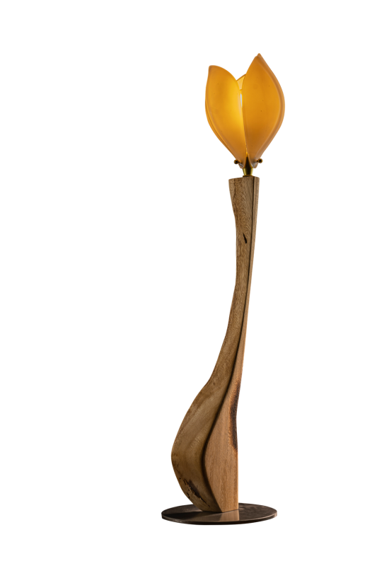 wooden Tulip light